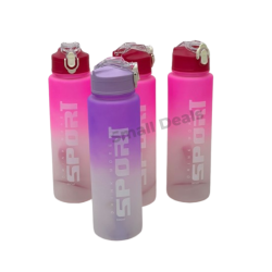Gourde Sport Gradient –...