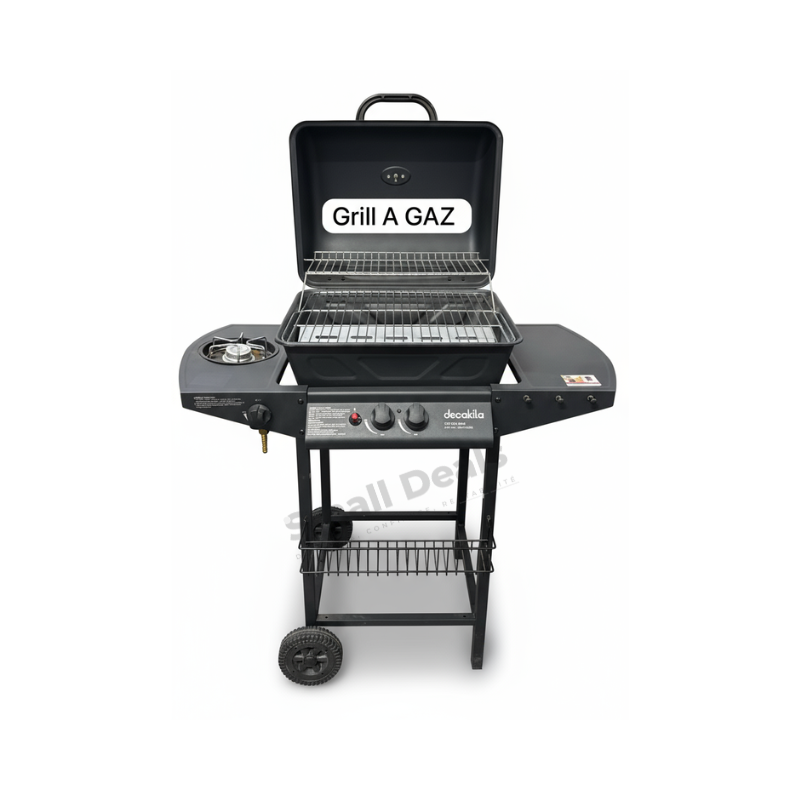Grille à Gaz – Barbecue Moderne au Gaz pour Cuisson Rapide et Pratique