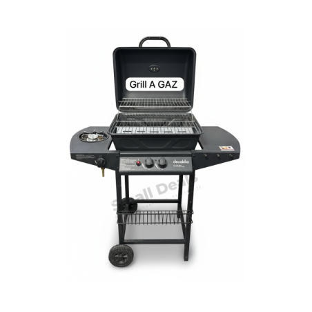 Grille à Gaz – Barbecue Moderne au Gaz pour Cuisson Rapide et Pratique