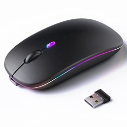 Souris Sans Fil - Bluetooth Rechargeable - Autonomie 2 Semaines - Compatible PC & Téléphone