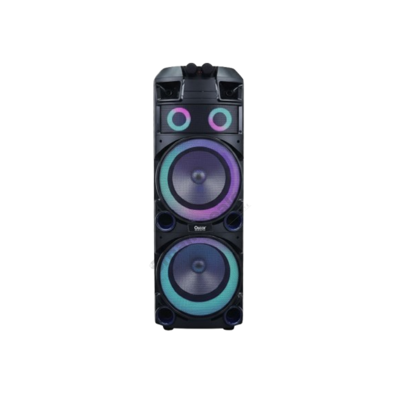 Haut Parleur OSCAR OSC-WD12H – Portable, Sans fil, 2 Micros